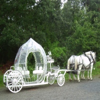 dream-horse-carriage-company-horse-drawn-carriages-for-weddings-in-ny