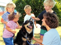 animal assisted therapy in ny