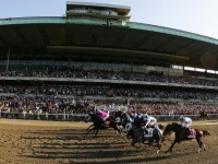 new york horse racing