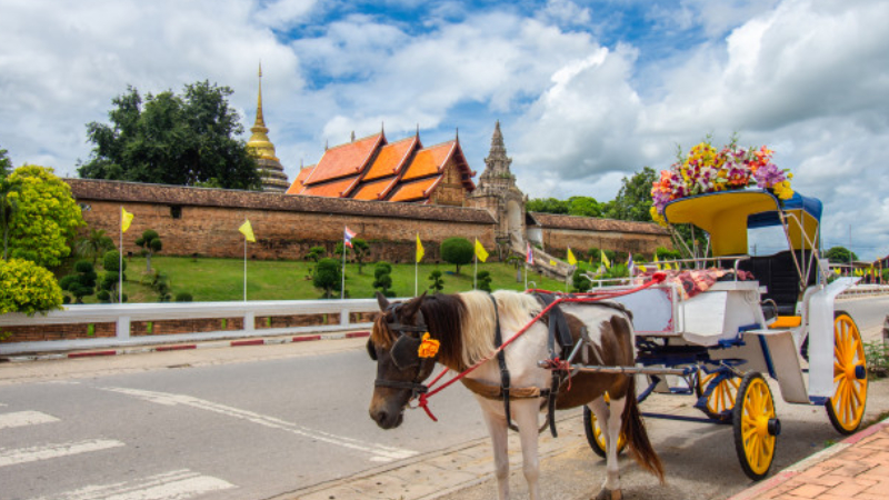 horse drawn carriages for weddings in ny