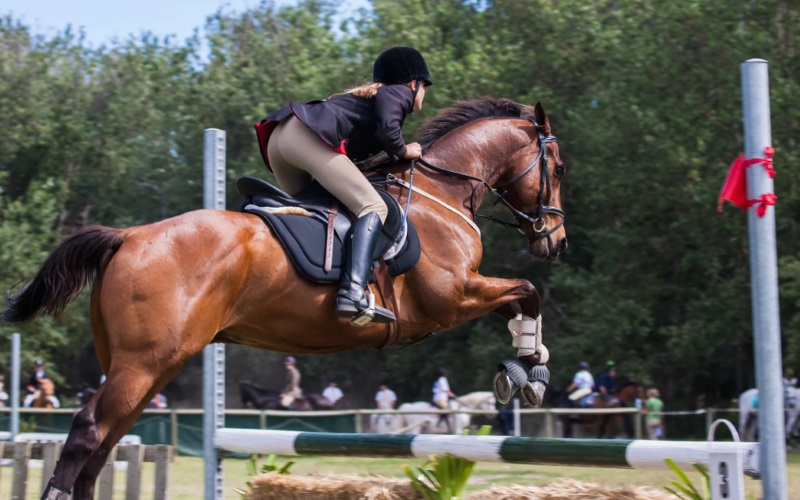 horseback riding ny