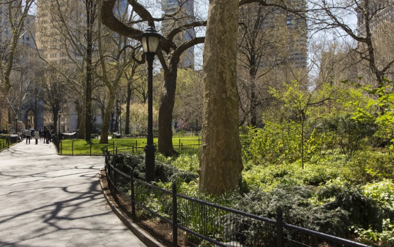 new york parks